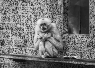 Zoo Ústí nad Labem - Nevinné oběti